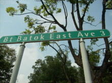Bukit Batok East Avenue 3 #85572